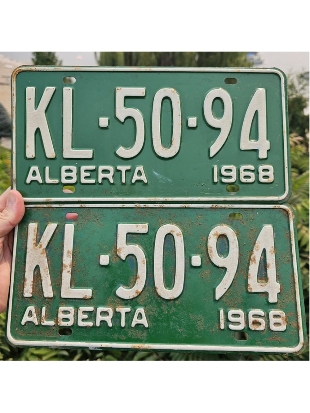 Vintage 1968 Alberta License Plate Pair KL-50-94 Green Matching Set Original